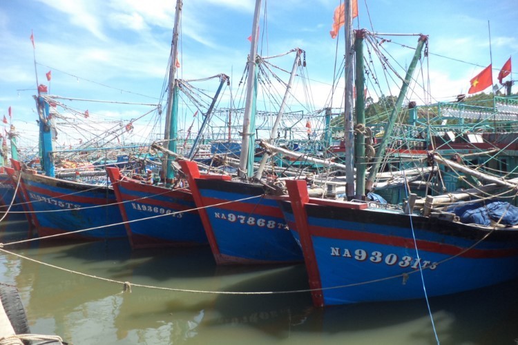 Chủ tàu cá ở Quảng Bình tham gia khai thác vùng biển xa được hỗ trợ mua bảo hiểm