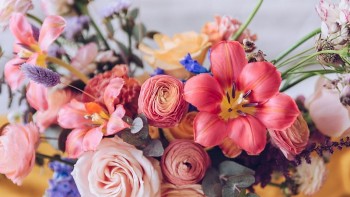 tu vi hom nay 12 cung hoang dao 1742024 nhan ma gap duoc nguoi trong mong