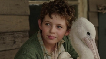 phim ve thien nhien con nguoi uc tham gia lien hoan phim quoc te thanh pho ho chi minh