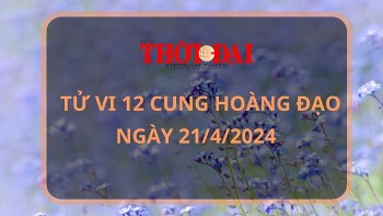 tu vi hom nay 12 cung hoang dao 2142024 kim nguu vo cung may man