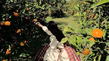 tu vi tuan moi 12 con giap 22 2842024 ngo van trinh tai loc thang tien thuan loi