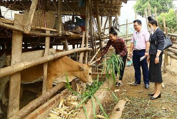 quan tam ve quyen con nguoi mot cach thuc chat nhat