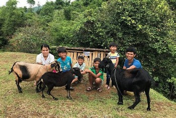 wvi danh hon 27 trieu usd ho tro cai thien sinh ke cho nguoi dan huyen dakrong quang tri