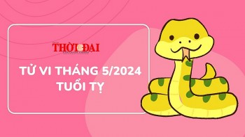 tu vi thang 52024 tuoi ty su nghiep len huong tai chinh nhay vot