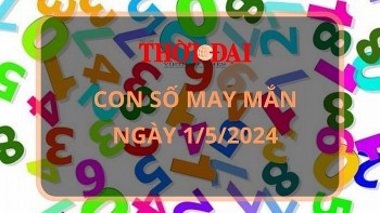 con so may man hom nay 152024 12 con giap