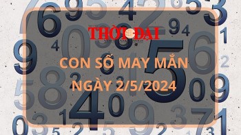 con so may man hom nay 252024 12 con giap