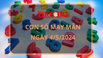 con so may man hom nay 452024 12 con giap