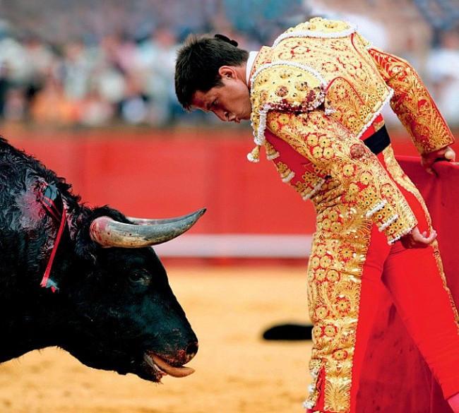 Tây Ban Nha sẽ bãi bỏ giải đấu bò quốc gia do lo ngại về lợi ích của động vật