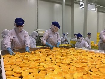 Hoan nghênh Mỹ xem xét công nhận Việt Nam là nền kinh tế thị trường