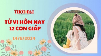 tu vi hom nay 12 con giap 1452024 suu tien tai doi dao doi vao nha