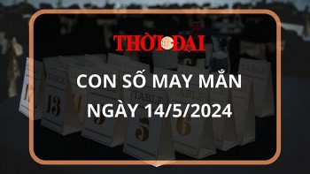 con so may man hom nay 1452024 12 con giap ngo than may soi duong dan loi