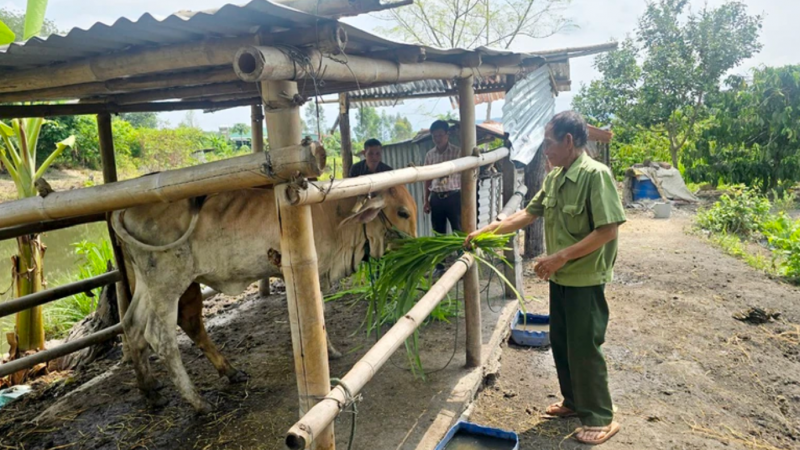 giup nguoi dan vung bien gioi phia bac tay nguyen lam kinh te