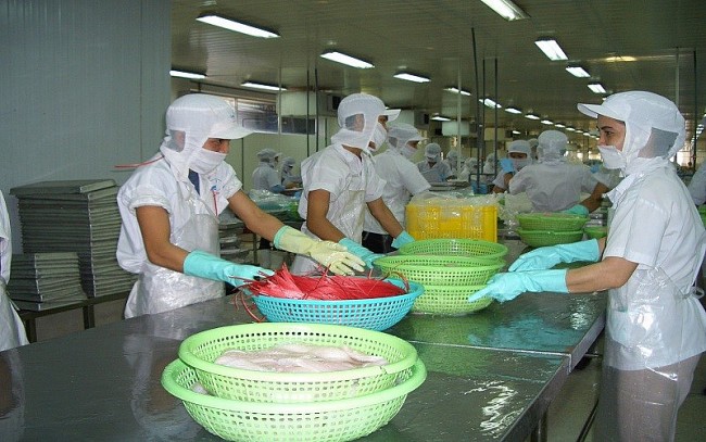Giá xuất khẩu thuỷ sản sẽ tăng nếu Mỹ công nhận Việt Nam là nền kinh tế thị trường?