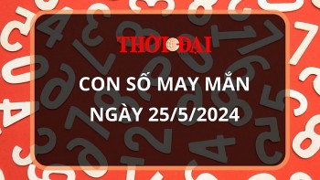 con so may man hom nay 2552024 12 con giap suu loc la tran vao nha