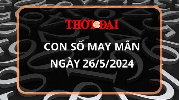 con so may man hom nay 2652024 12 con giap ngo ty kinh doanh dau thang day