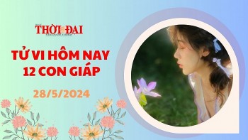 tu vi hom nay 12 con giap 2852024 than nhan tin vui duong tai chinh