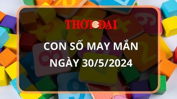 con so may man hom nay 3052024 12 con giap mao mui than tai go cua