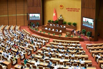 dai bieu tranh luan trai chieu giua hai phuong an rut bao hiem mot lan