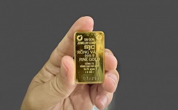 gia vang dong loat tang vot sau thong tin ngung dau thau