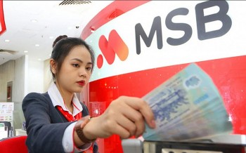 rox living muon ban 294 von msb