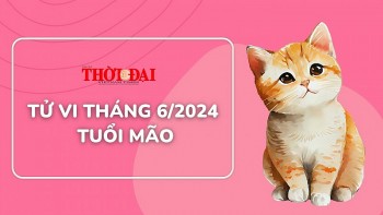 Tử vi tuổi Mão tháng 6/2024: Nhiều tiến triển tốt đẹp