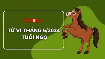 Tử vi tuổi Ngọ tháng 6/2024: Lận đận lao đao mọi mặt trong cuộc sống