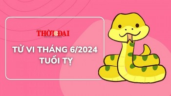 Tử vi tuổi Tỵ tháng 6/2024: Chuyển biến tích cực may mắn tìm tới