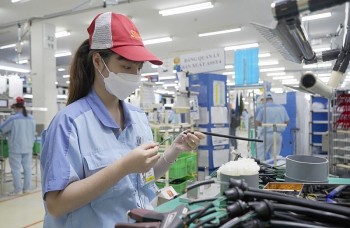 viet nam quay lai nhap sieu 1 ty usd trong thang 52024