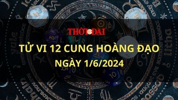 tu vi hom nay 12 cung hoang dao 162024 bo cap co co hoi the hien tai nang