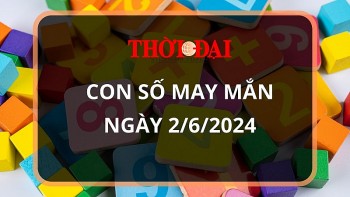 con so may man hom nay 262024 12 con giap mao tien vao nhu nuoc