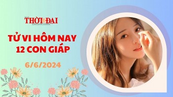 tu vi hom nay 12 con giap 662024 ngo duoc tai tinh che cho