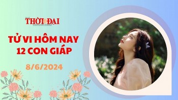 tu vi hom nay 12 con giap 862024 dau duoc tai tinh tro menh