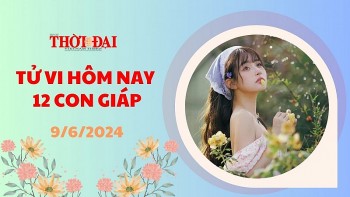 tu vi hom nay 12 con giap 962024 ty su nghiep tren da thang tien