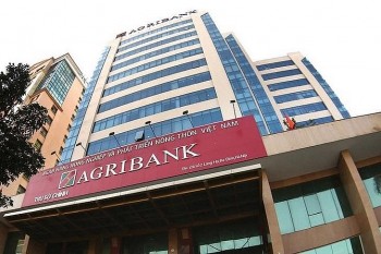 agribank chat vat rao ban khoan no gan 2200 chi vang sjc ton dong 20 nam