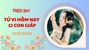 tu vi hom nay 12 con giap 1162024 mao nhan duoc loc bat ngo