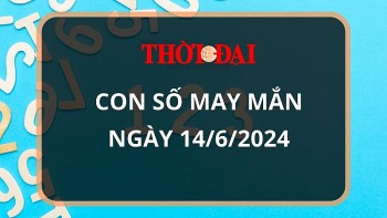con so may man hom nay 1462024 12 con giap tuat nhan duoc khoan tien bat ngo