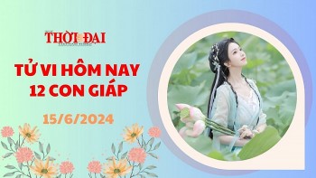 tu vi hom nay 12 con giap 1562024 dau don nhan nhieu dieu tot dep