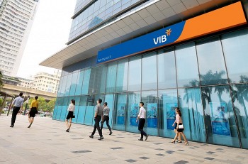 vib giam manh room ngoai xuong con 499