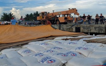 philippines muon khoi phuc quyen nhap khau gao cua nfa doanh nghiep noi gi