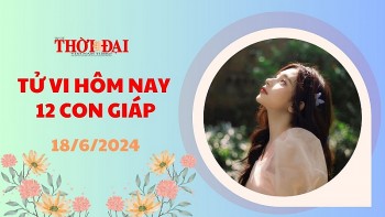 tu vi hom nay 12 con giap 1862024 ty can than co nguoi dang lam hai ban menh