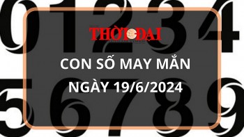 con so may man hom nay 1962024 12 con giap hoi than tai chieu menh
