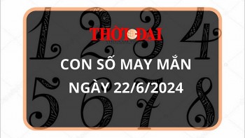 con so may man hom nay 2262024 12 con giap suu dan cung nhau phat len nhu dieu gap gio