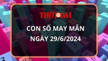 con so may man hom nay 2962024 12 con giap thin loc la tran vao nha