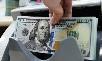 gia usd tu do vot tang thiet lap dinh moi