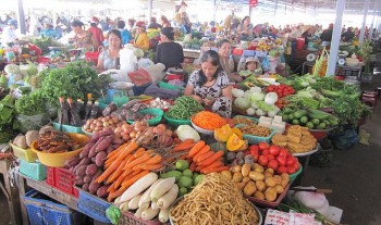 cpi binh quan 6 thang dau nam 2024 tang vuot muc 4