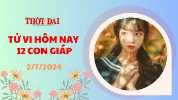 tu vi hom nay 12 con giap 272024 tuat gap truc trac trong cong viec