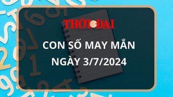 con so may man hom nay 372024 12 con giap hoi may man vuot bac