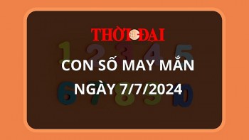 con so may man hom nay 772024 12 con giap dan than tai go cua mang loc vao nha