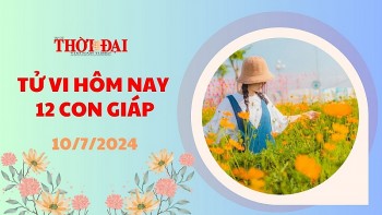 tu vi hom nay 12 con giap 1072024 thin thu nhap thang tien