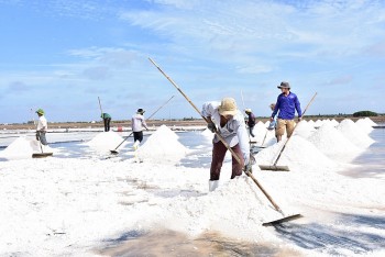 bac lieu lan dau tien to chuc festival nghe muoi viet nam